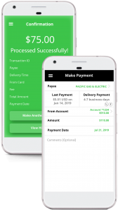 MakePayment Virtual Visa® Prepaid Debit Account